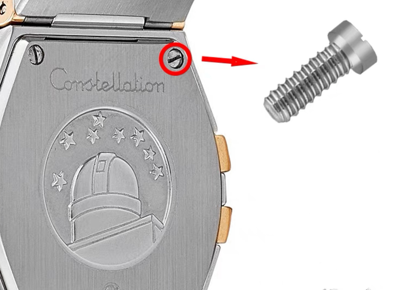 2PCs Stainless Steel Watch Case Screw for Omega Constellation Ladies