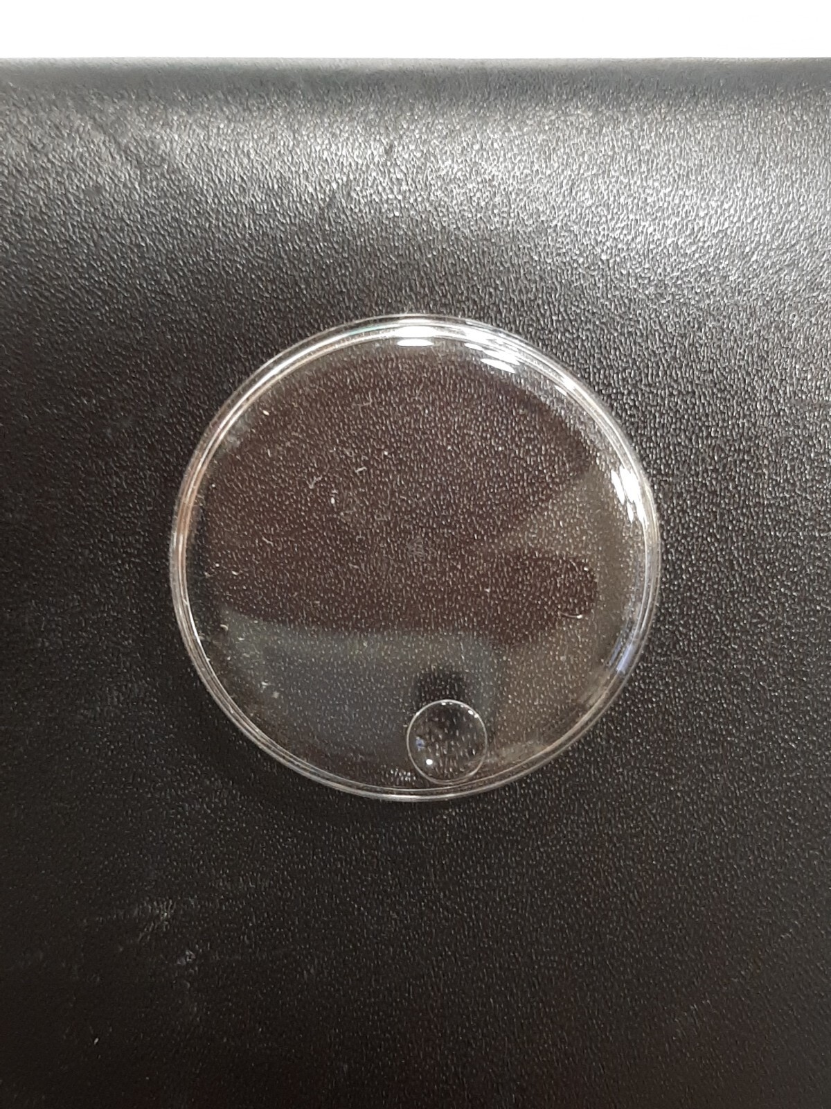 Wiler Vetta Plexi Glass 32.7mm Logo Vintage Nos