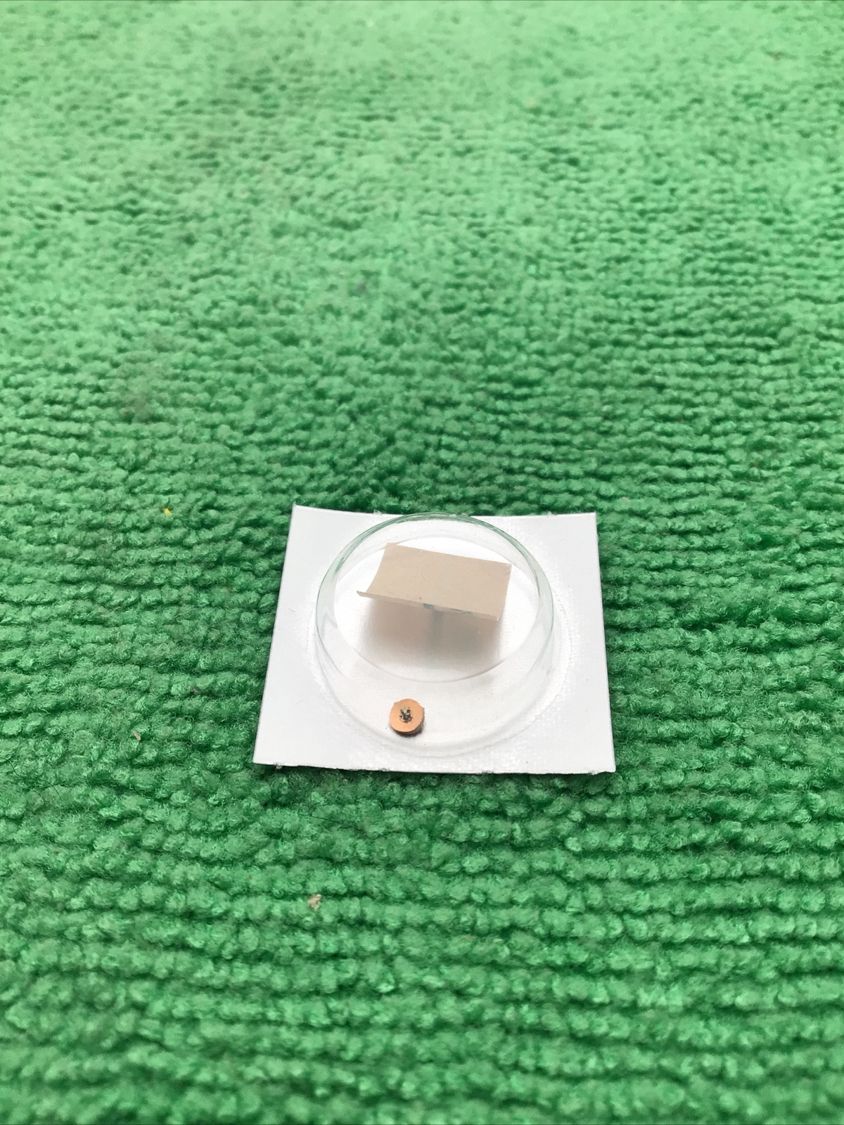 Seiko Rotor 4146-553 Watch Part