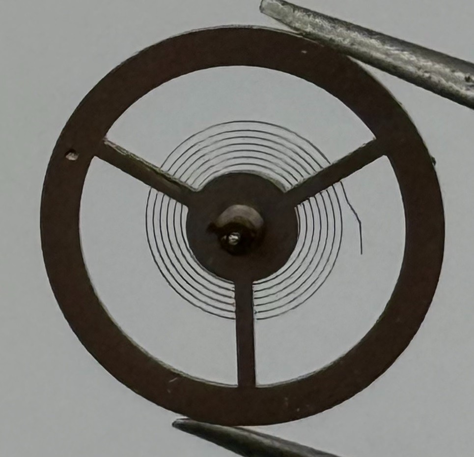 EB 8800 Balance Wheel Complete And Spring 12’’’ 1309 Watch Movement Parts NOS
