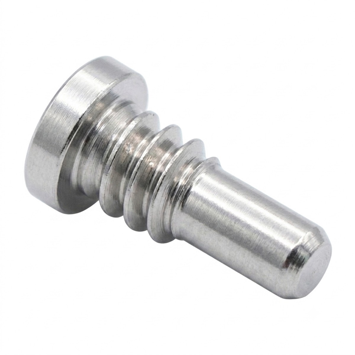 1.20mm Watch Buckle Clasp Screw for Patek Philippe Leather Strap Stainless Steel