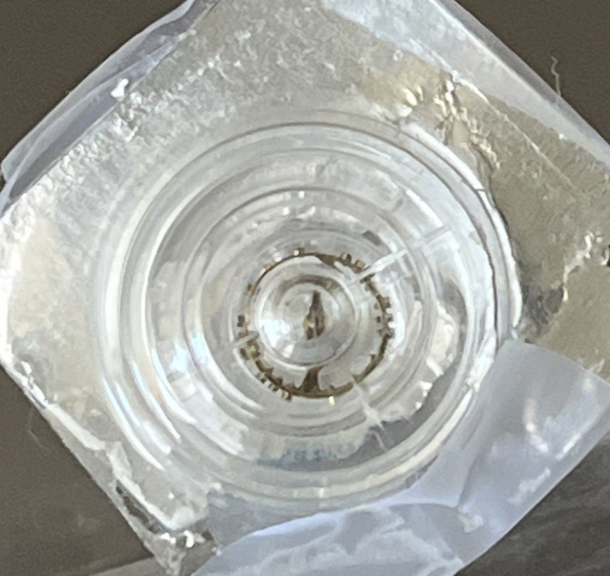 Bulova Watch Part Balance Wheel 54 Group 3 cal 5 AH Genuine Opened Packet Unused