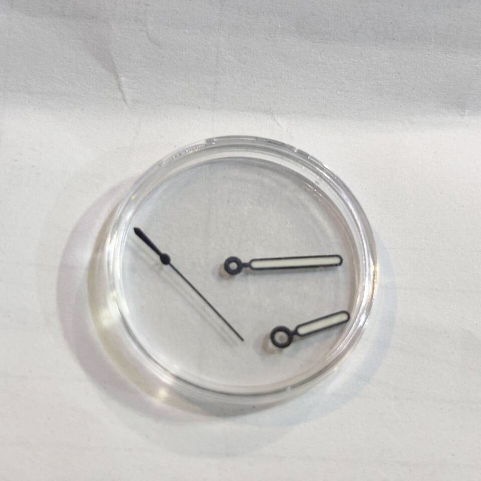 Men’s Mechanical Watch PP Case Sapphire Glass Transparent for NH35/NH36 Movement