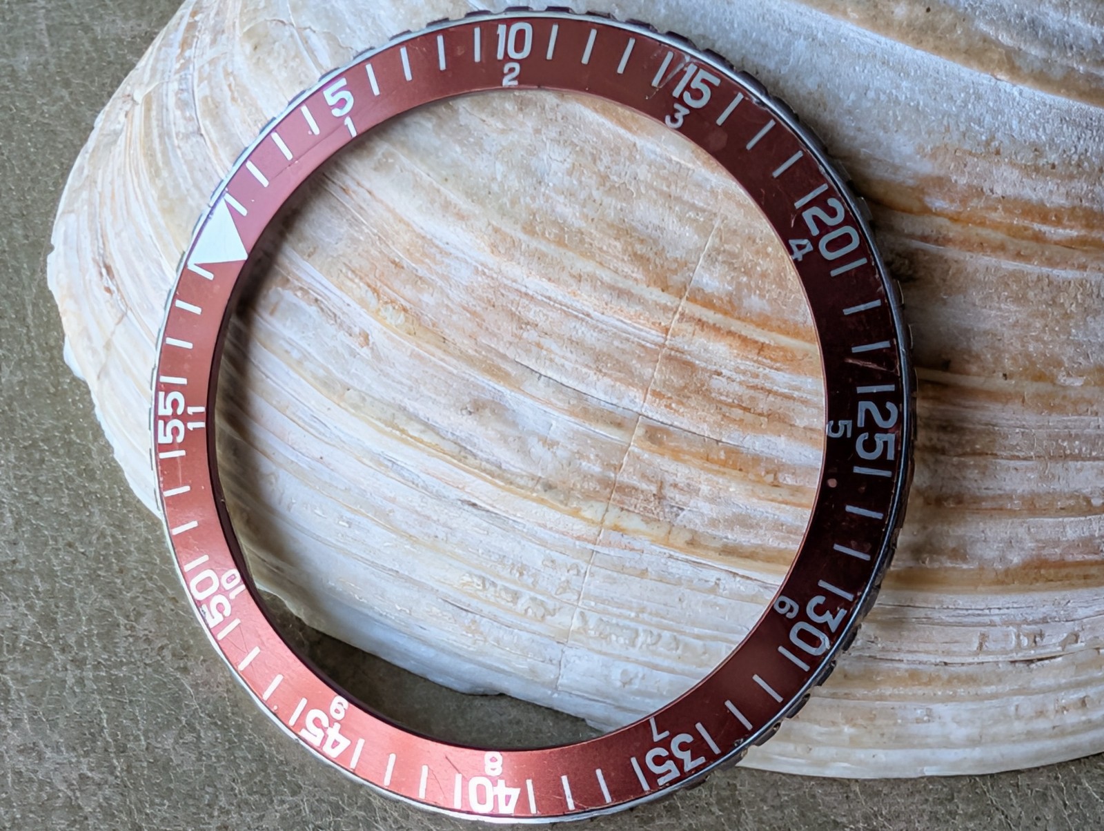 Vintage Wittnauer Professional 239T/7004A Chronograph BEZEL/BURGUNDY INSERT ONLY