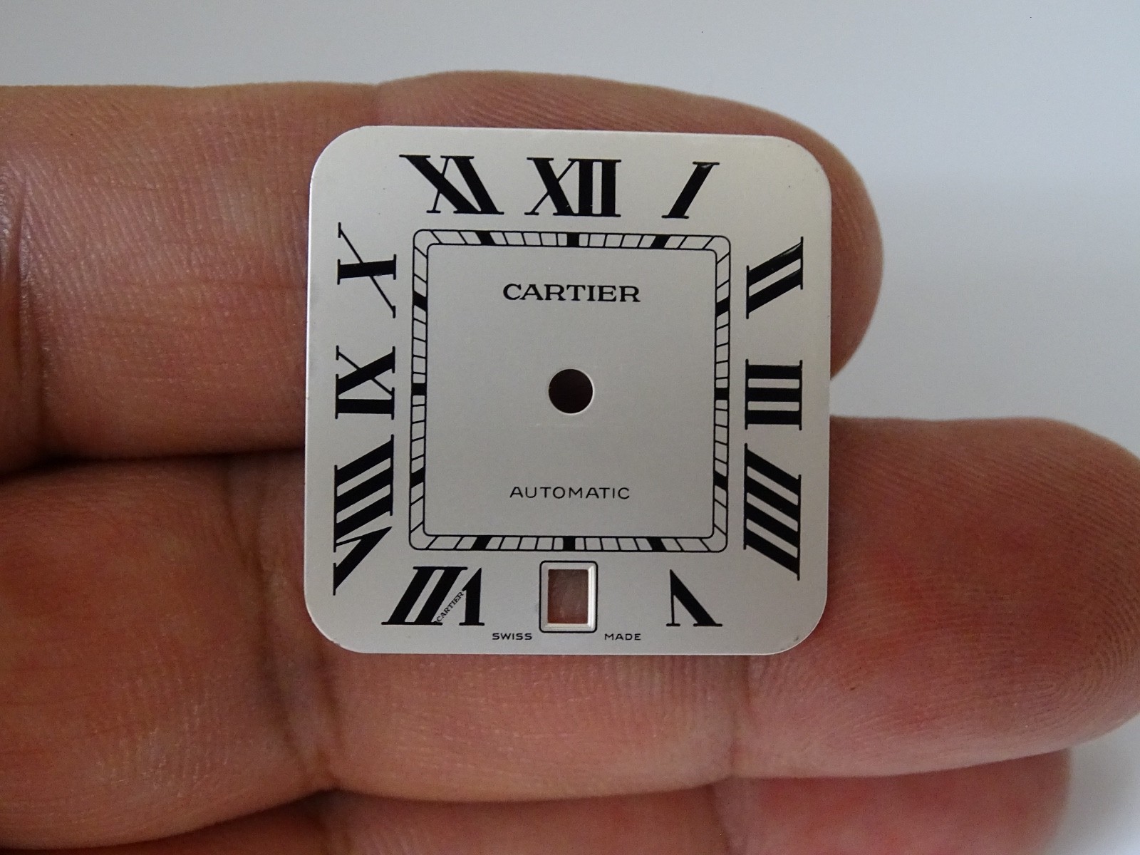 Cartier Santos 100 Dial Automatic Original WSSA0018