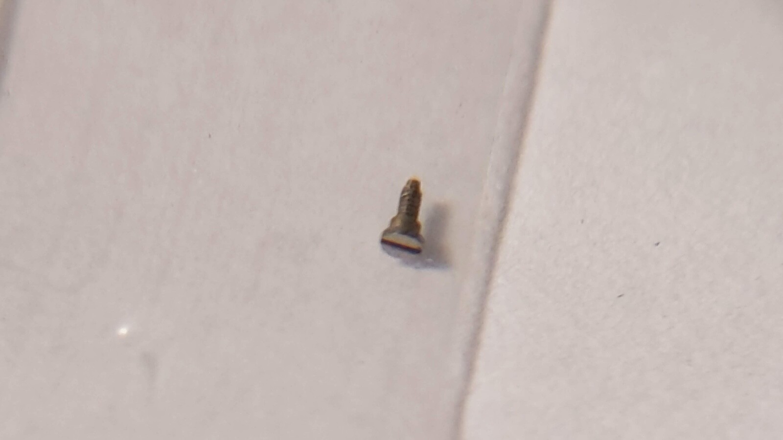 Lecoultre SCREW 428 438 for watch repair. see photos