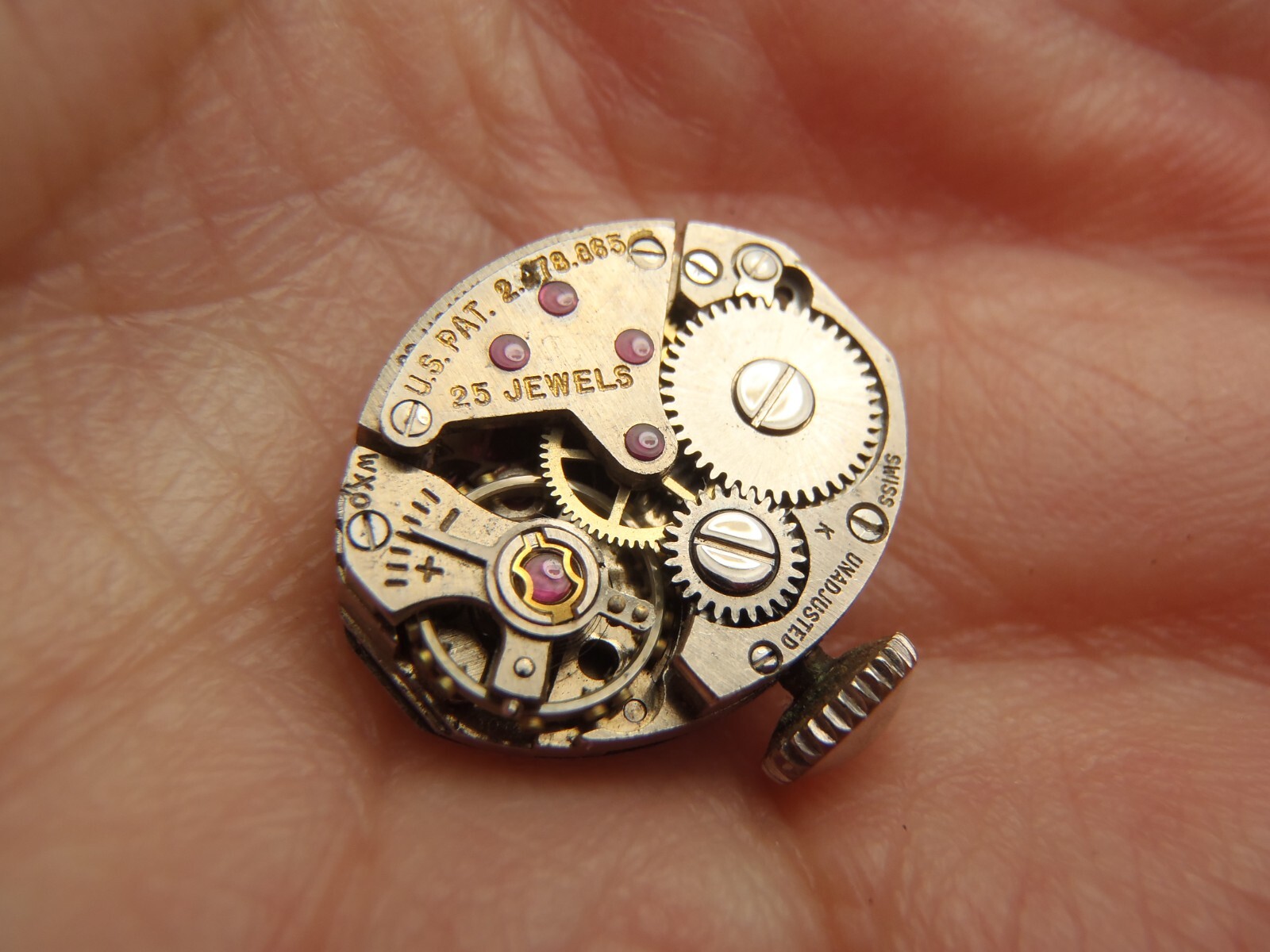 WALTHAM 25 Jewel Manual Winding Movement Running