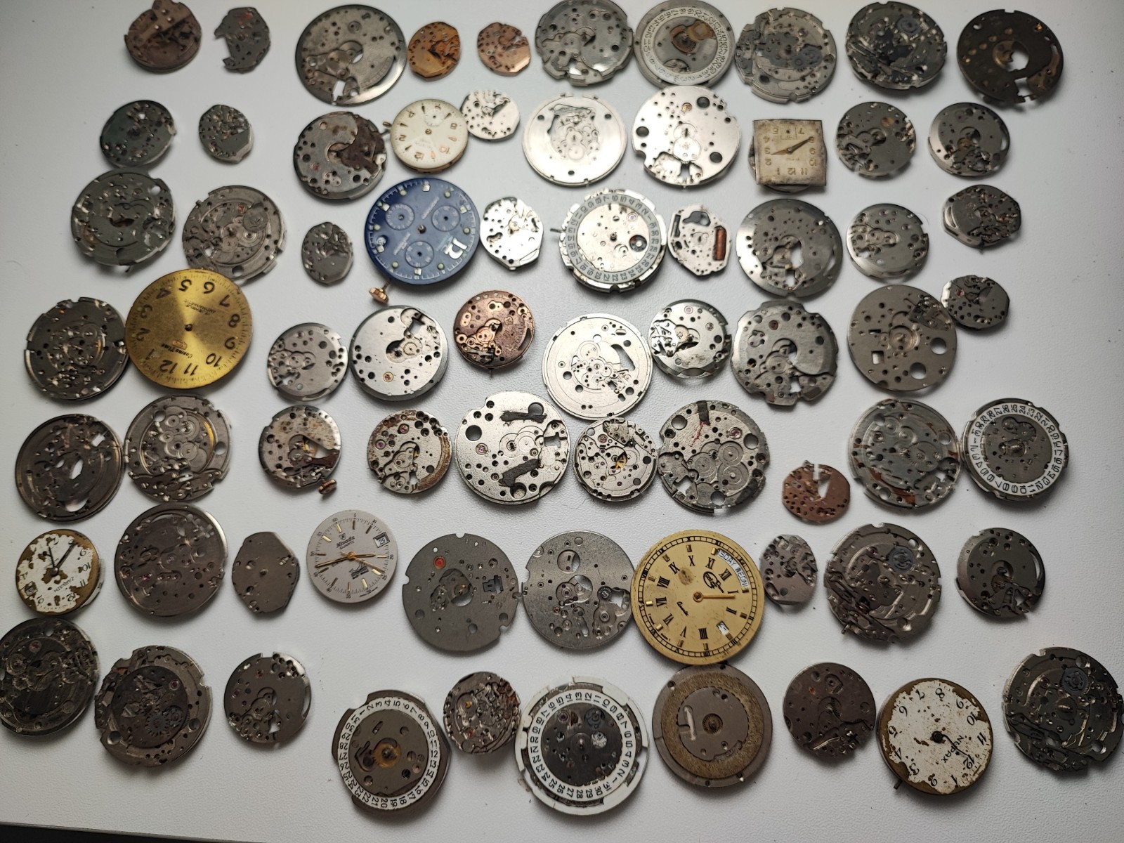 mix Watch Main Plate platinum lot as fe jej bfg fhf eta ronda amida dursa others