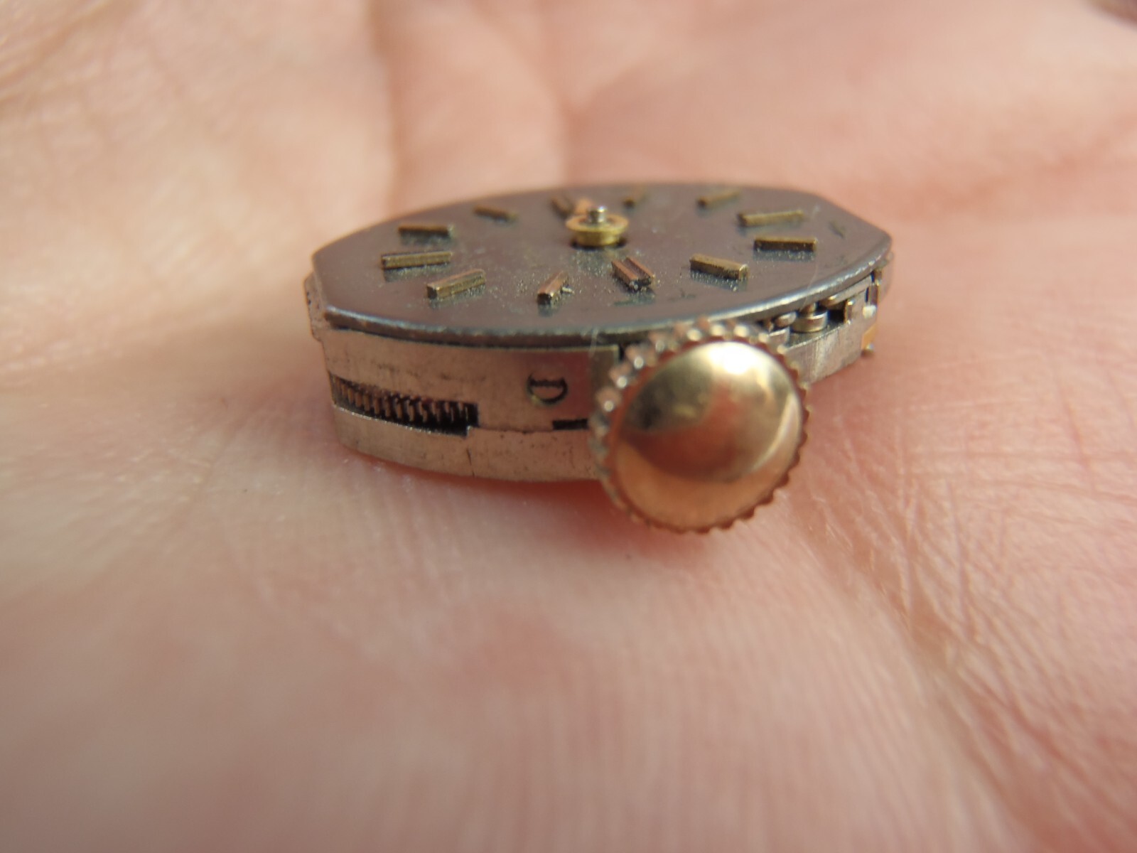 Austin Cal. 1677 Swiss Made 17 Jewels Wristwatch Movement Running