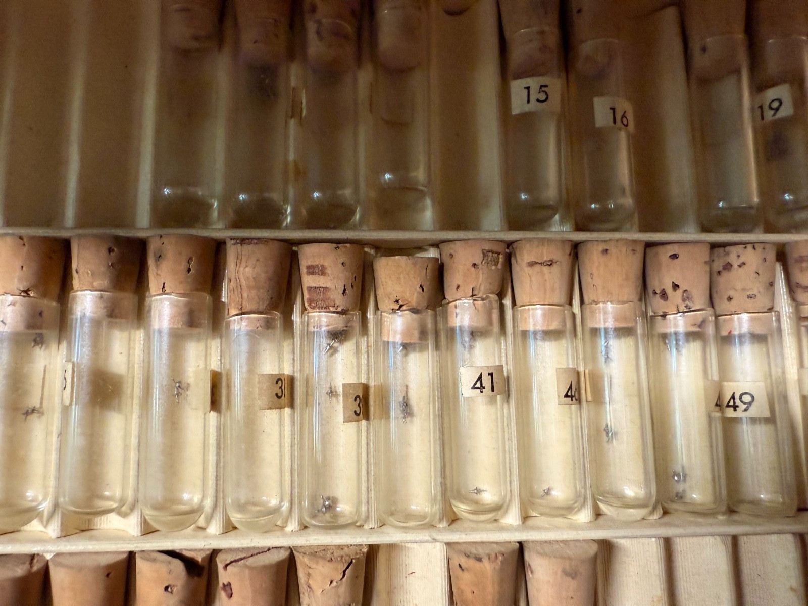 Vintage Case of Best Fit Benrus 9C2 Watch Stems Swiss Parts Screws w/ Vials