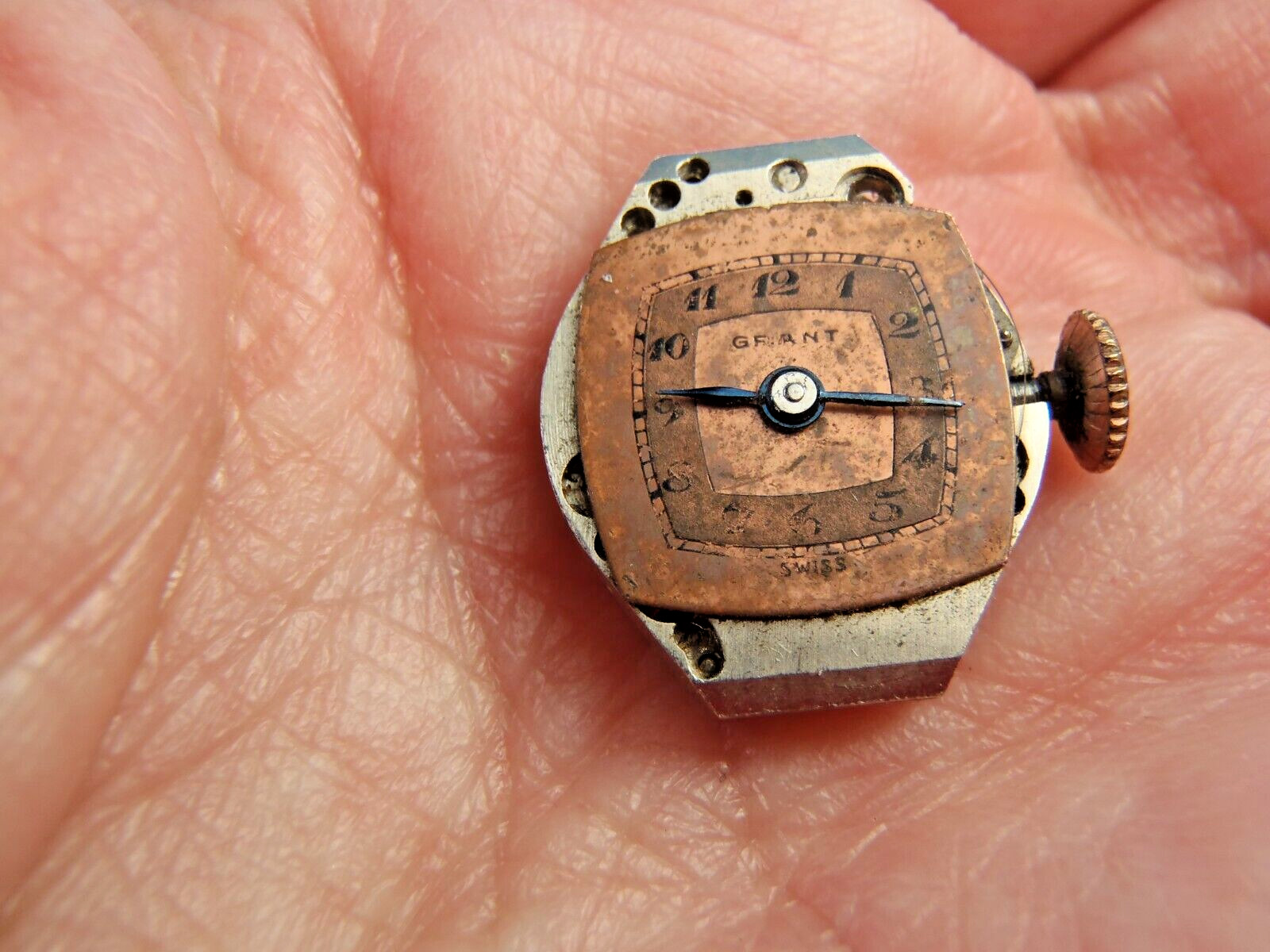 Grant GXR Watch Movement Dial Hands Stem Crown 17 Jewel Balance Rotates