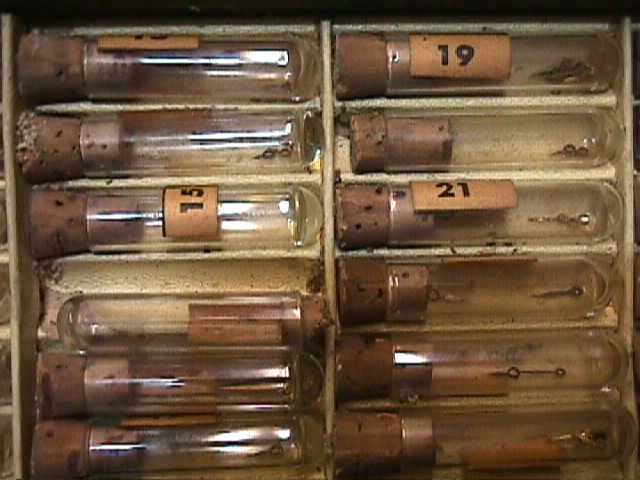 MARATHON HAND ASSORTMENT 249 BOX+Some CONTENTS Leaf Pattern MEYER BECK,NY *box 8