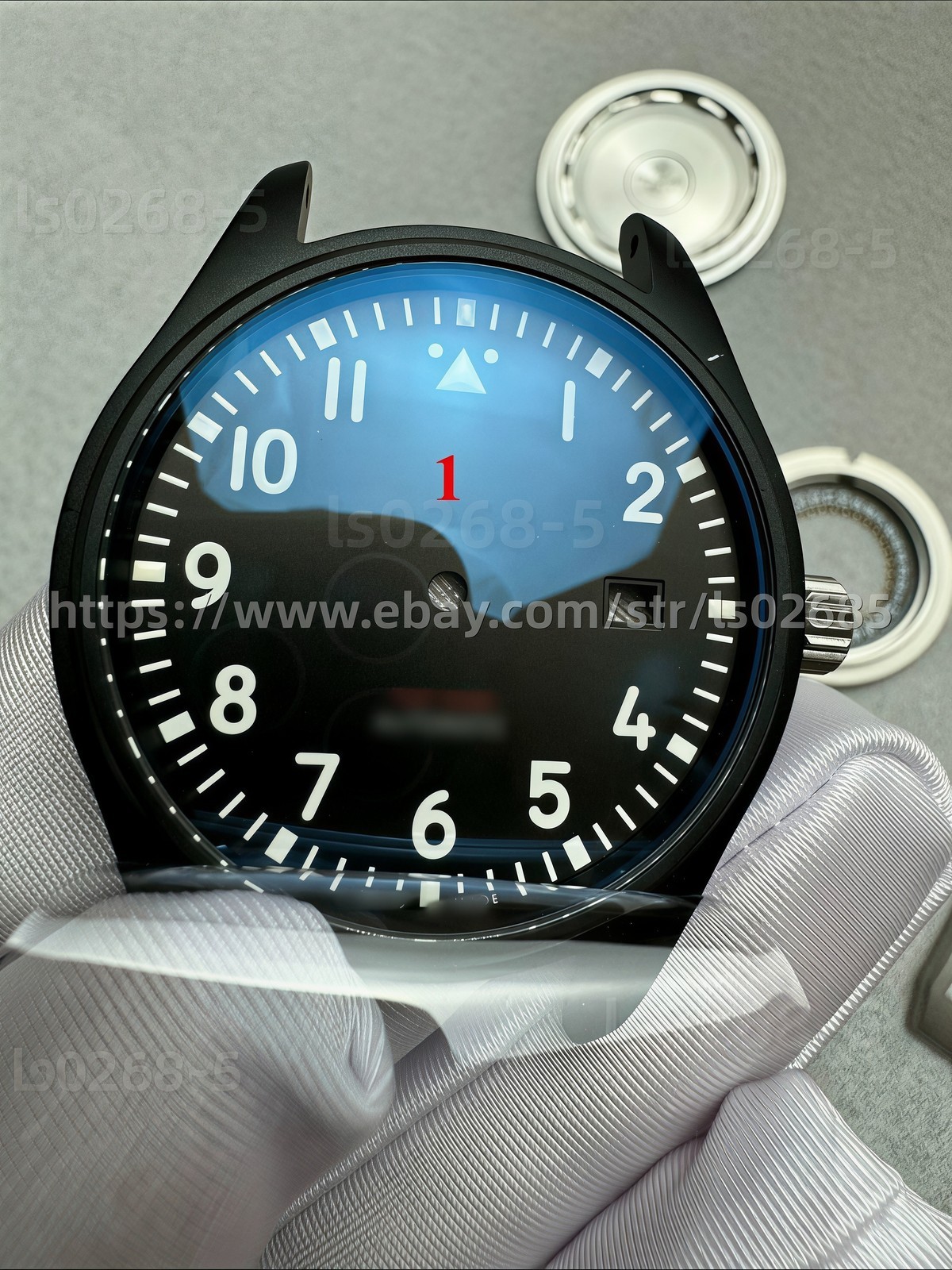 41mm Stainless Steel Watch Case With Band for 2824