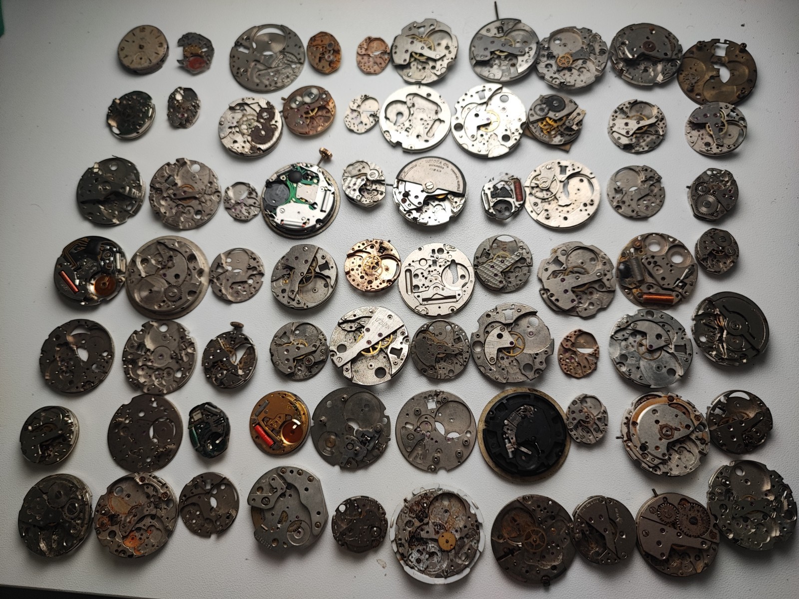 mix Watch Main Plate platinum lot as fe jej bfg fhf eta ronda amida dursa others