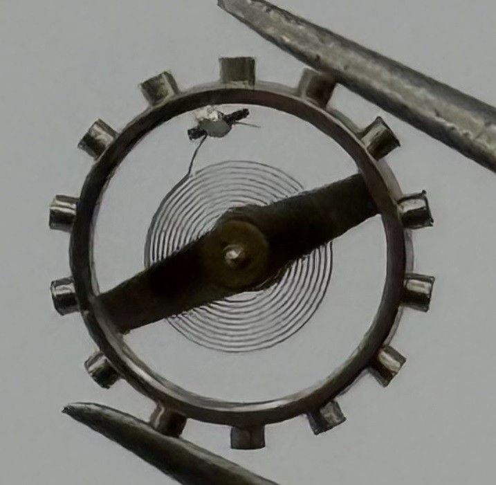 Brac 2061 Balance Wheel Complete And Spring 7¾’’’ 497 Watch Movement Parts NOS