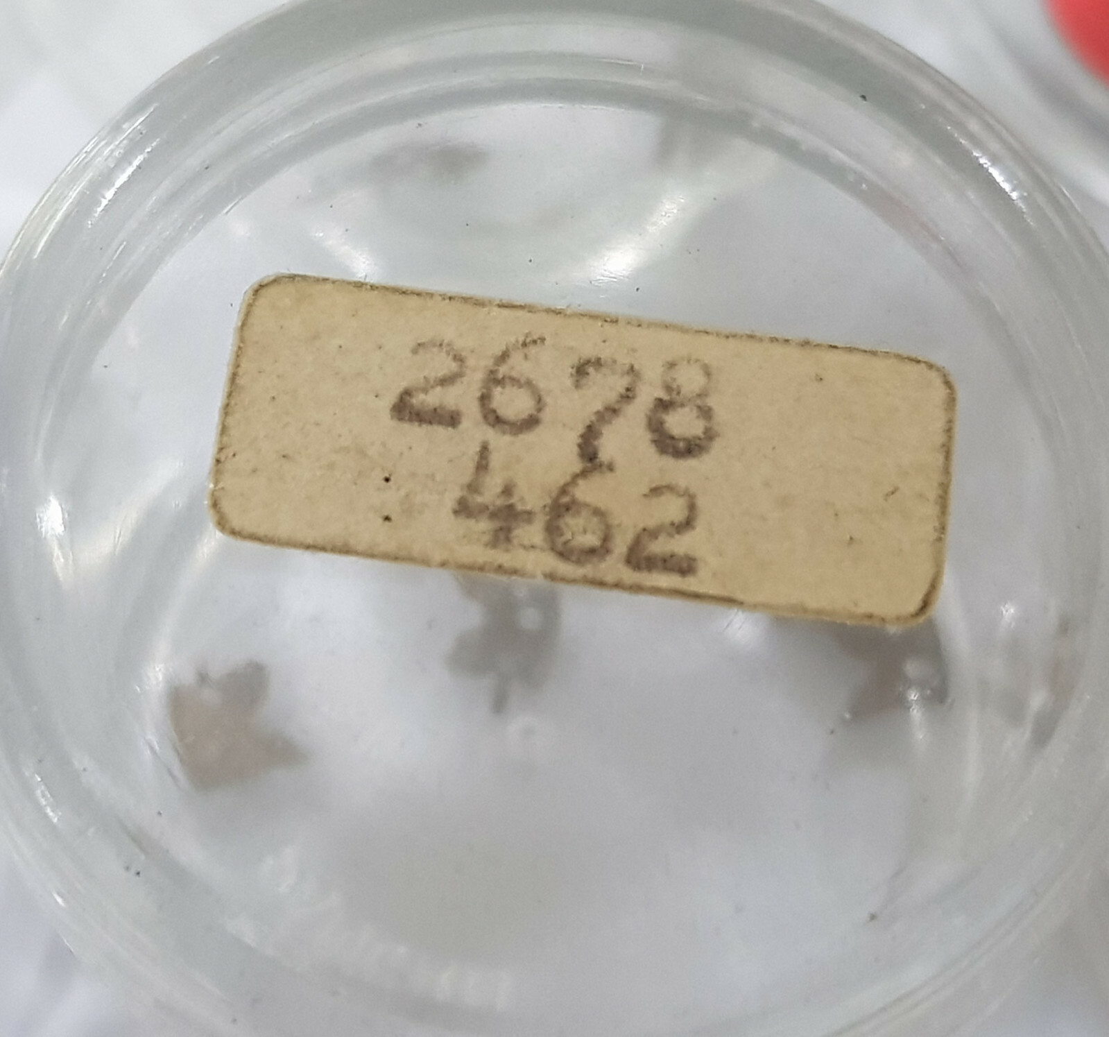 NOS Eta 2678 Original Parts Genuine Original Model choose.