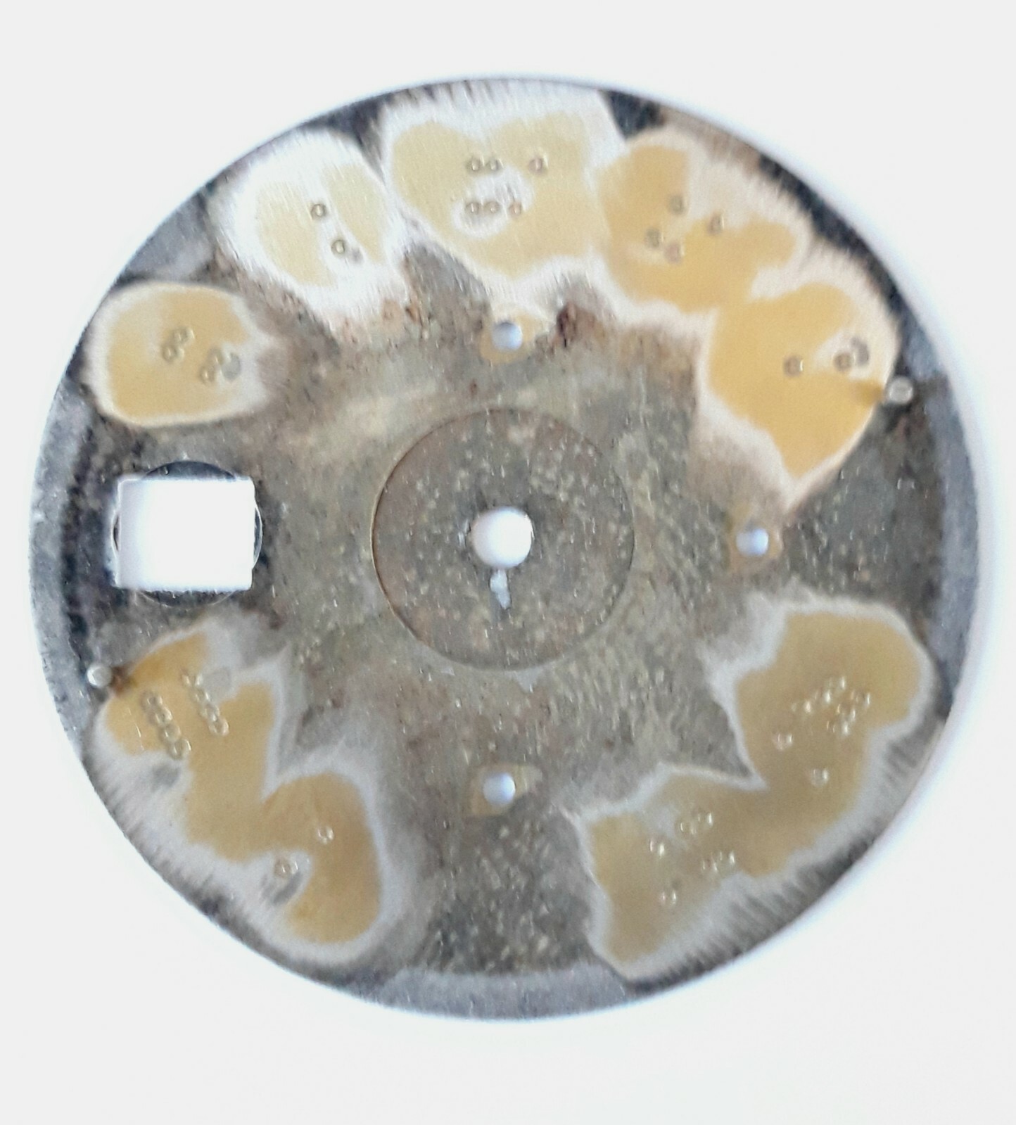 Wyler Vetta White Dial Compatible with Lemania 283 Chrono and Lemania 185