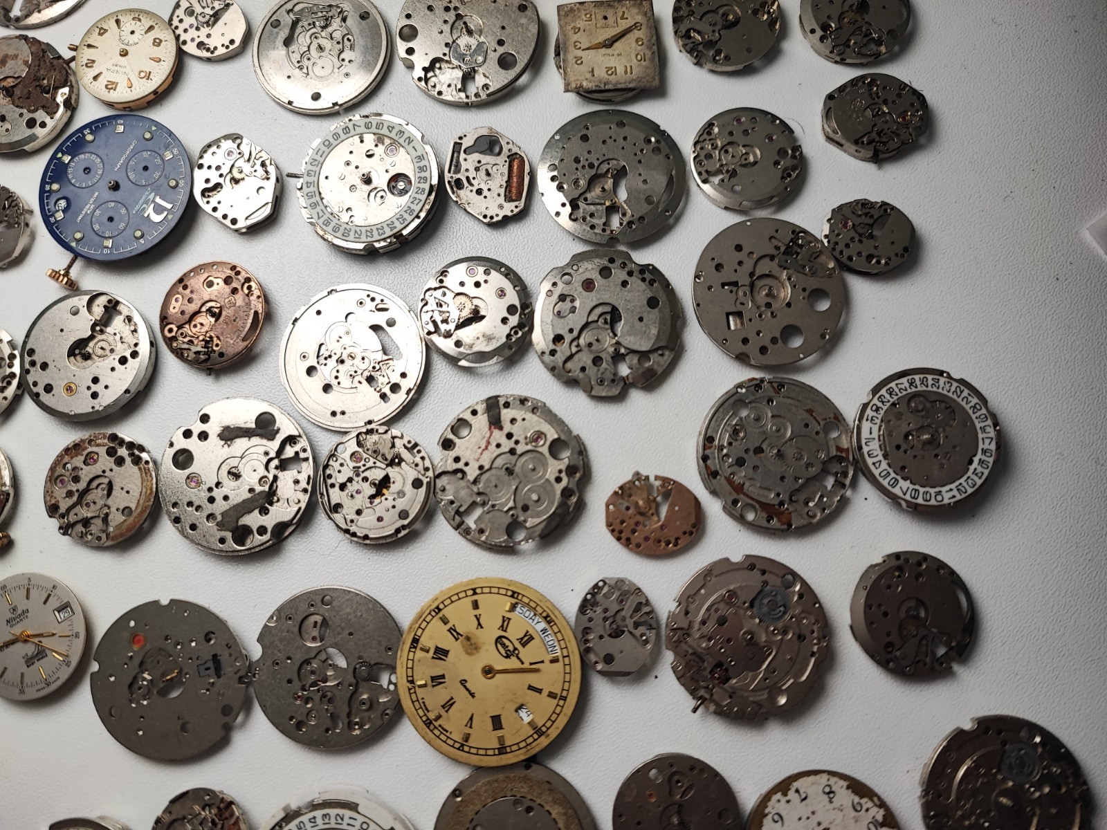 mix Watch Main Plate platinum lot as fe jej bfg fhf eta ronda amida dursa others