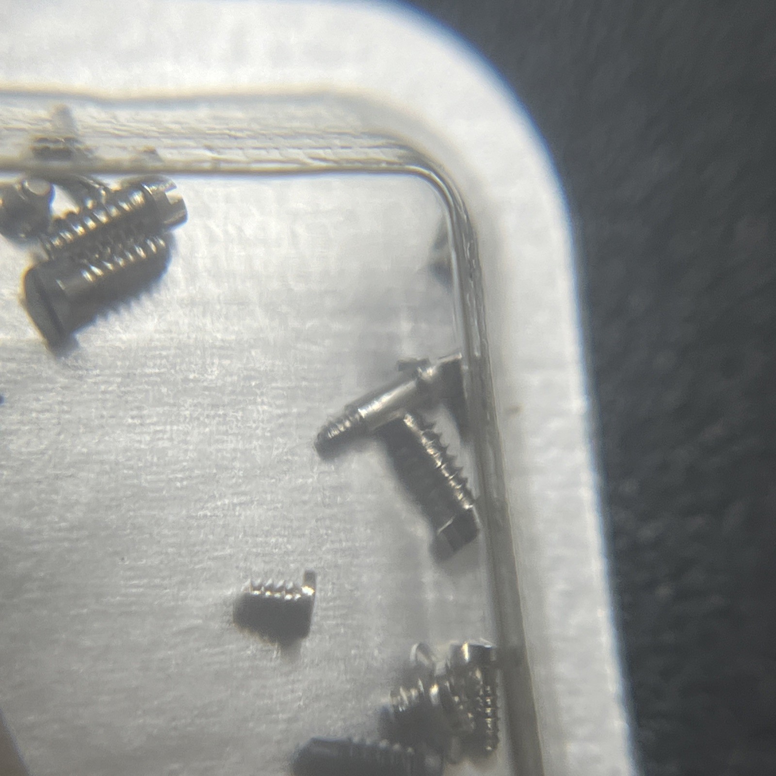 New Genuine Rolex Cal. 1570 Part 8111 Set Of Screws