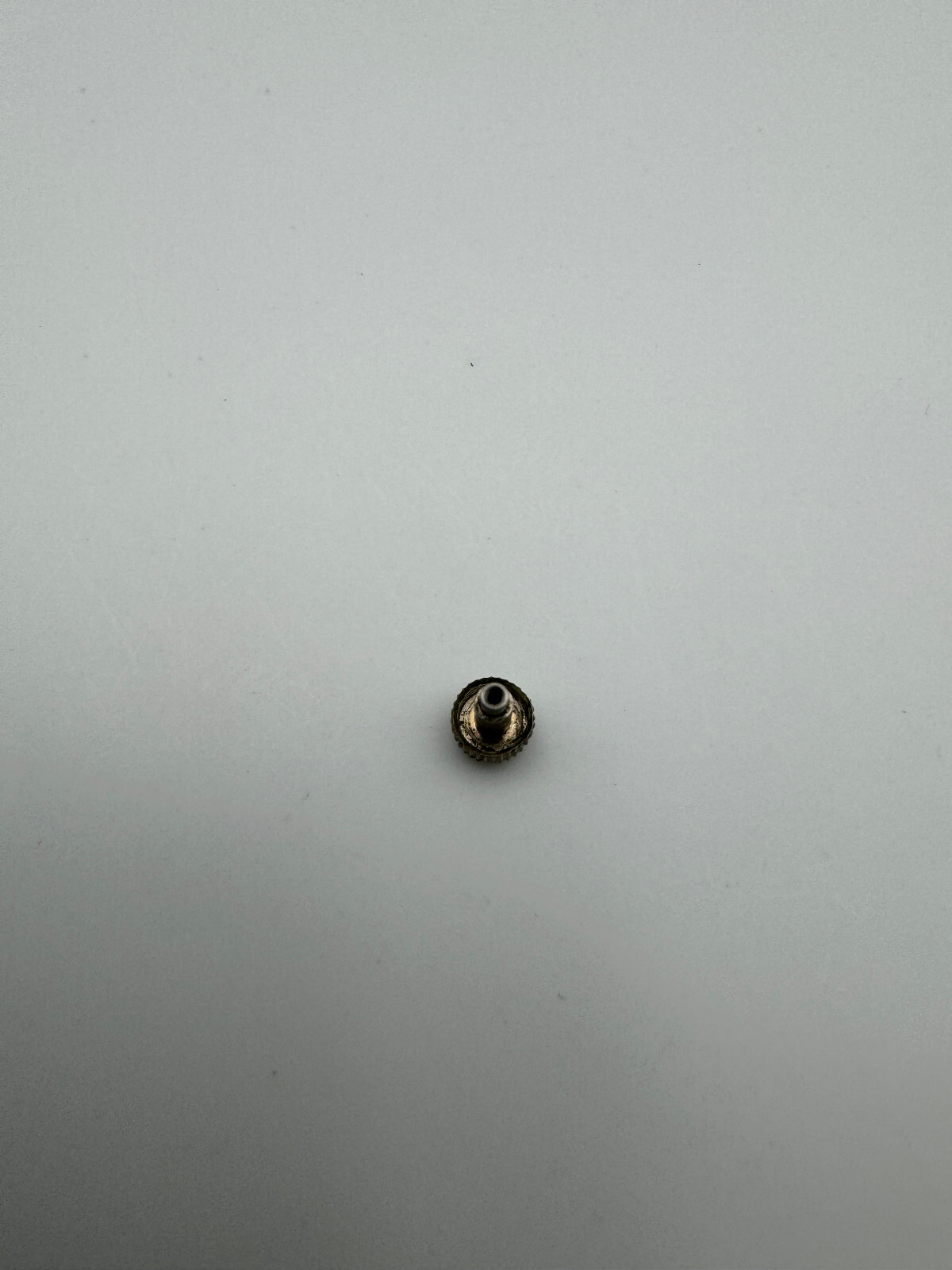 Philip Watch corona crown caribbean a vite to screw 4.5×2.5mm