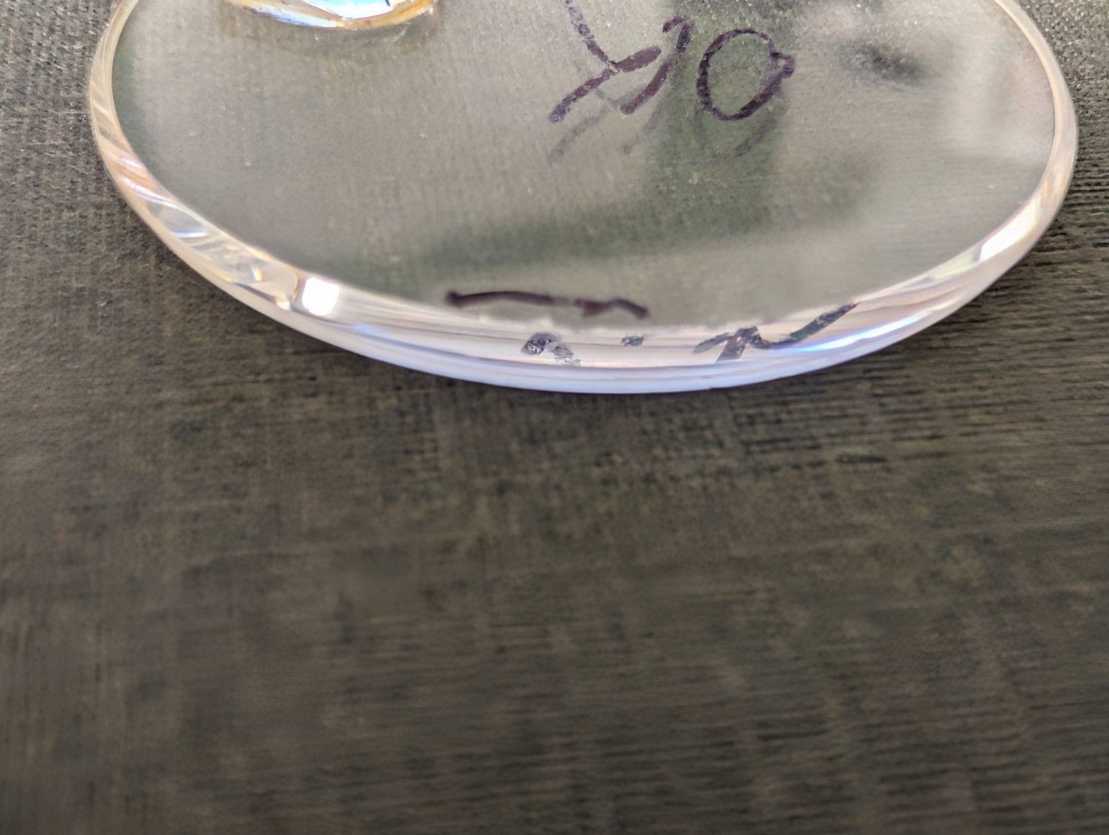 Genuine Rolex Sapphire Cyclop Crystal 25-295C 16233 WITH Loupe NO LEC (Laser Etc