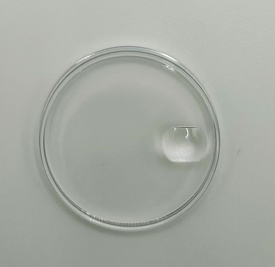 New Generic Swiss 25-118 Cyclop Plastic Crystal For ROLEX 1600, 1601, 1610 Watch
