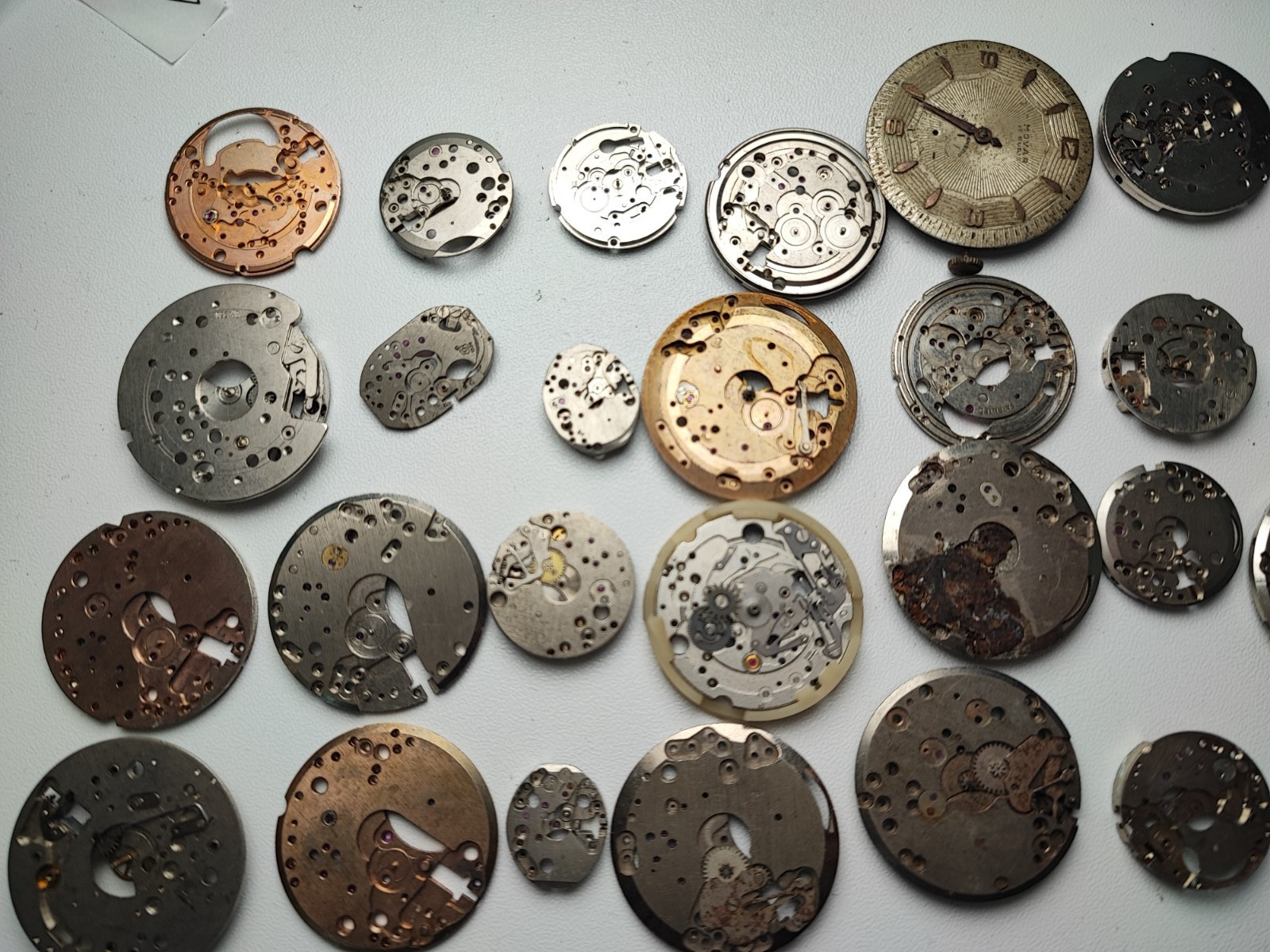 mix Watch Main Plate platinum lot as fhf fe eb harley brac fef eta bfg ut others