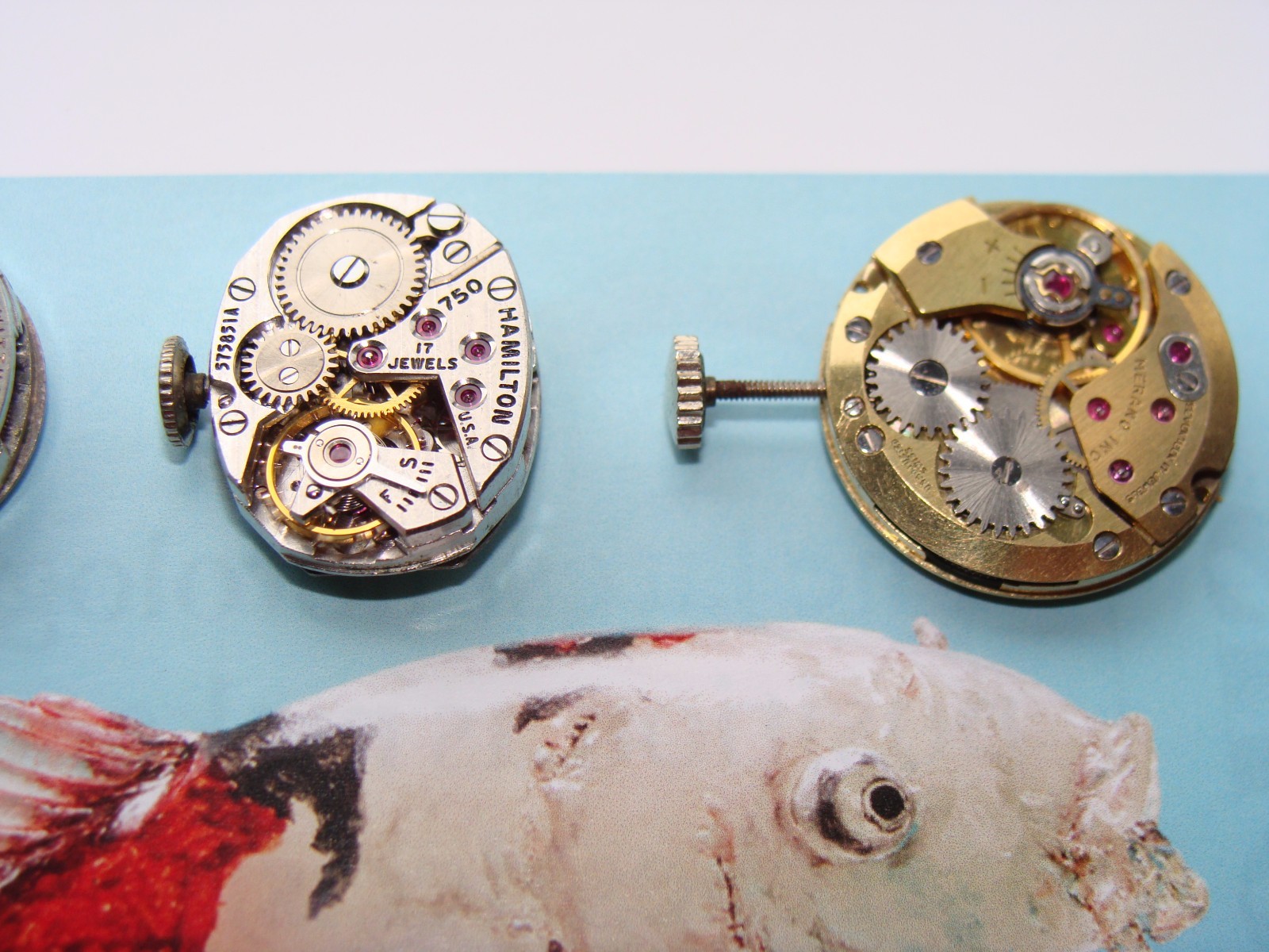 Vintage Watch Movements Lot – Longines Hamilton Bulova ETA 2512 Wittnauer 5D FHF