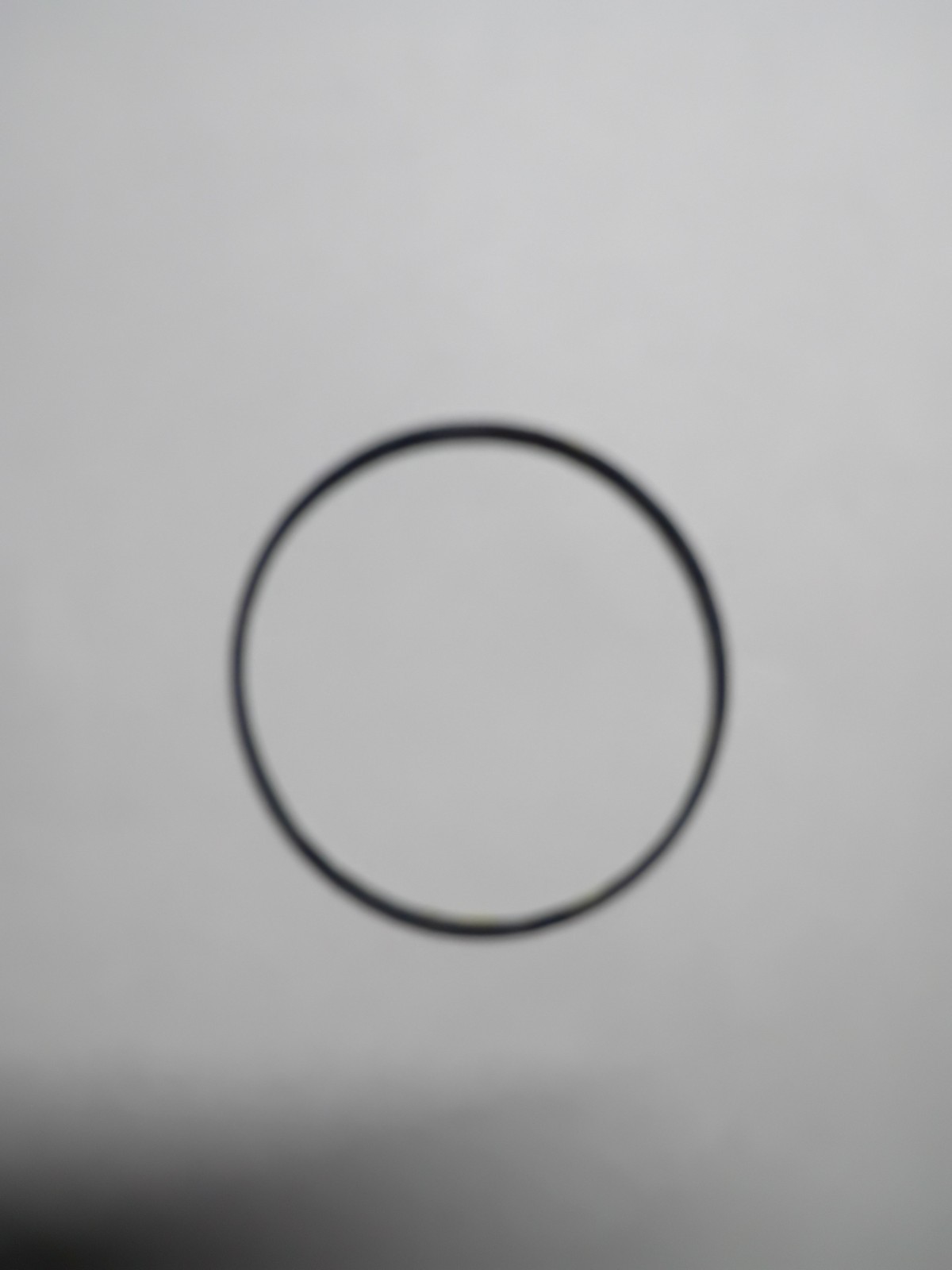 Rolex Case Back Gasket