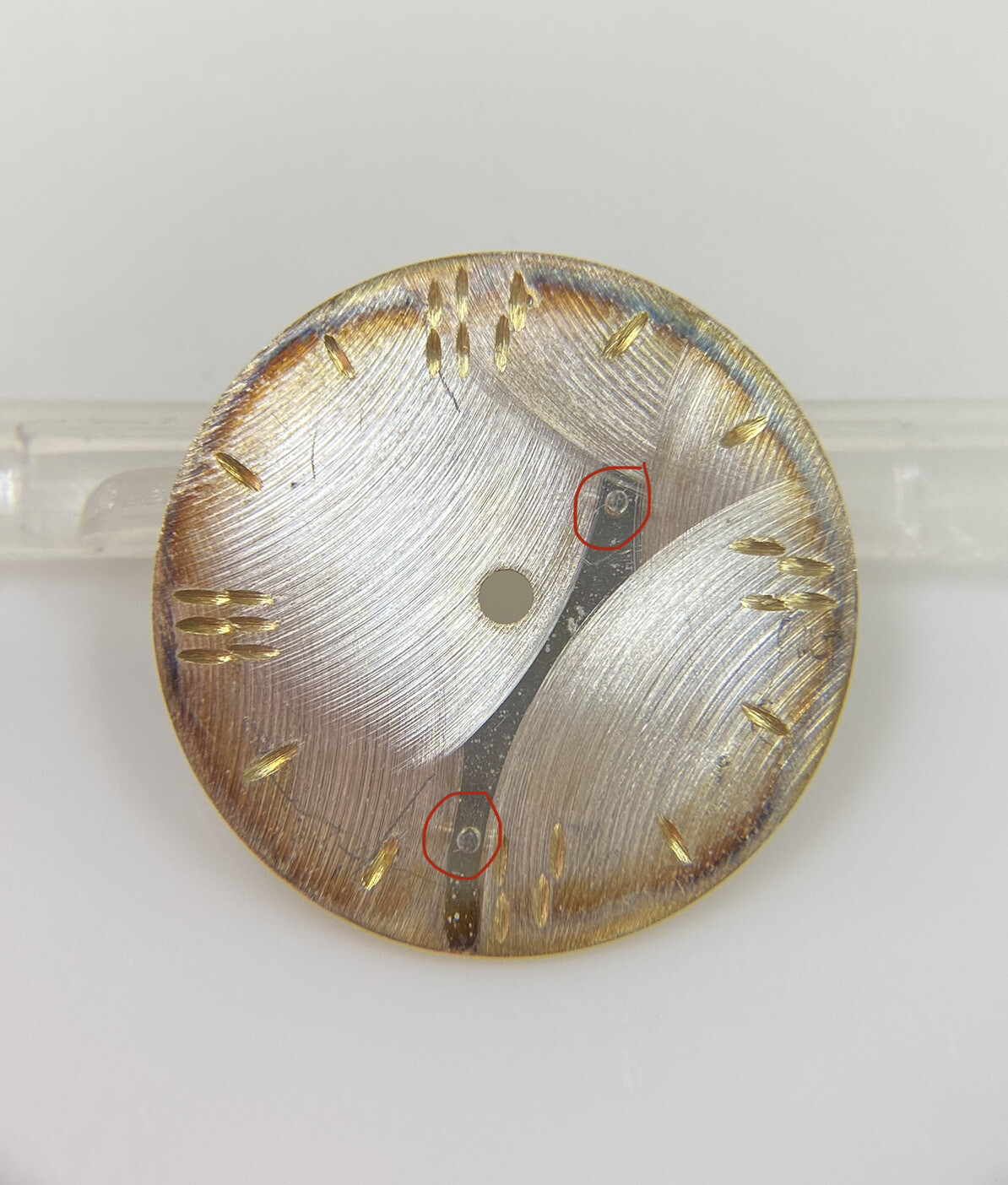 Original New Ebel Beluga Ladies Watch Ref. E9157421 20mm Dial