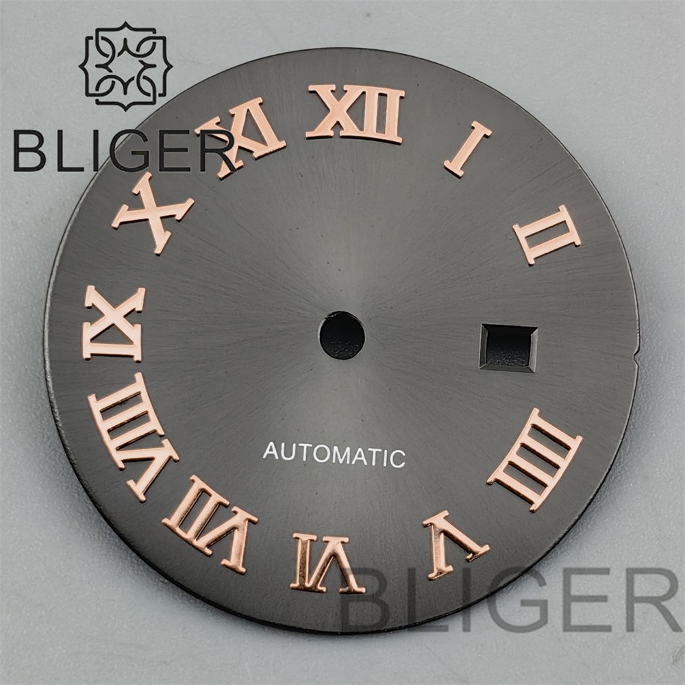 24.5mm Roman Numerals Sun Pattern Watch Dial Date Fit NH05 06 Movement