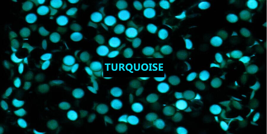 PEARL TURQUOIS LUME FOR BEZEL INSERT FOR SUBMARINER 16800 16808 16610 16613