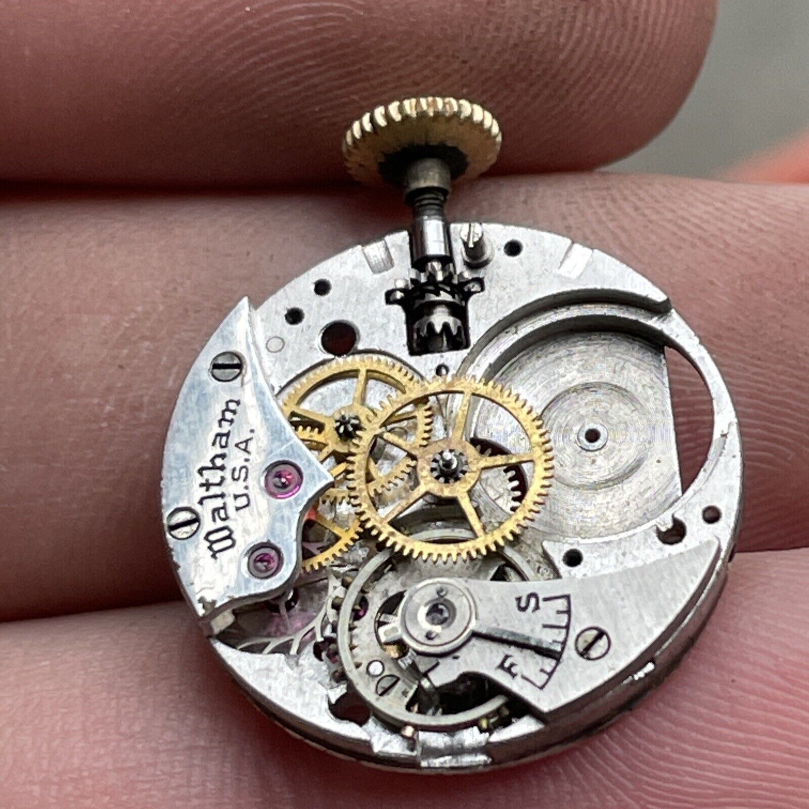 Vintage Waltham Watch Co. Movement.
