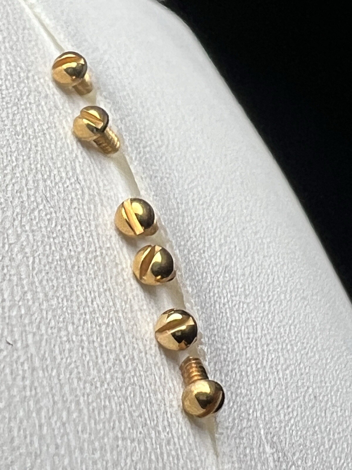 Breitling Single 29mmLong Riders Screw for Count UpDown Bezels G2U