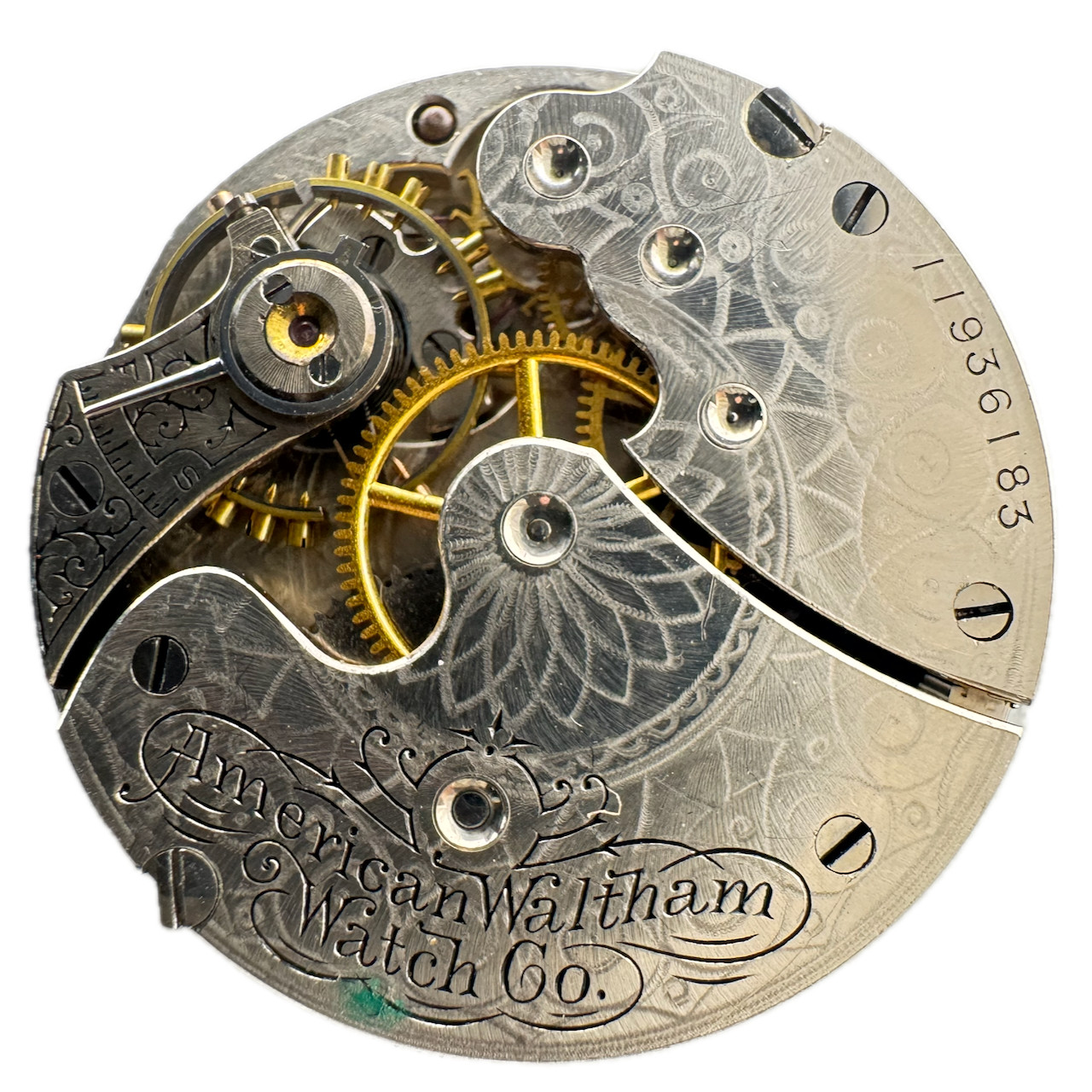 Antique 0s 1902 Waltham Multicolor Hunter Pocket Watch Movement Seaside