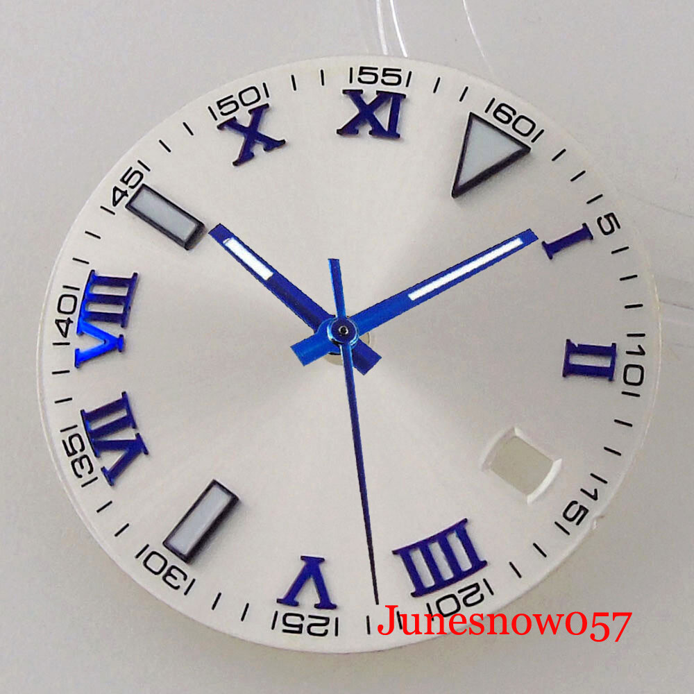 Silver Watch Dial Roman Numbers Lume 29MM Fit NH35 MIYOTA ETA2824 Movement Men’s