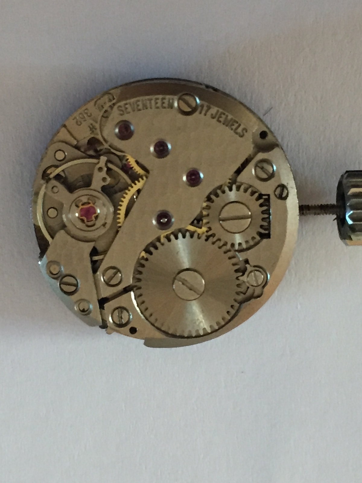 FHF 362 Vintage Women’s Darris 17 Jewels Antimagnetic Dial Movement