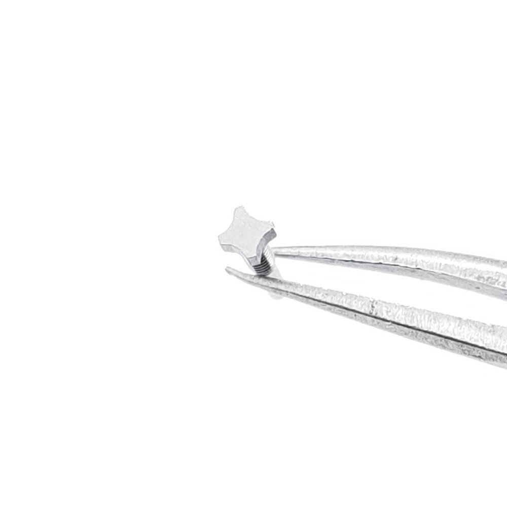 5 PCS 4 Star Silver Steel Screw L8.62 H2.12 to 2.62 For Richard Mille Watch Case