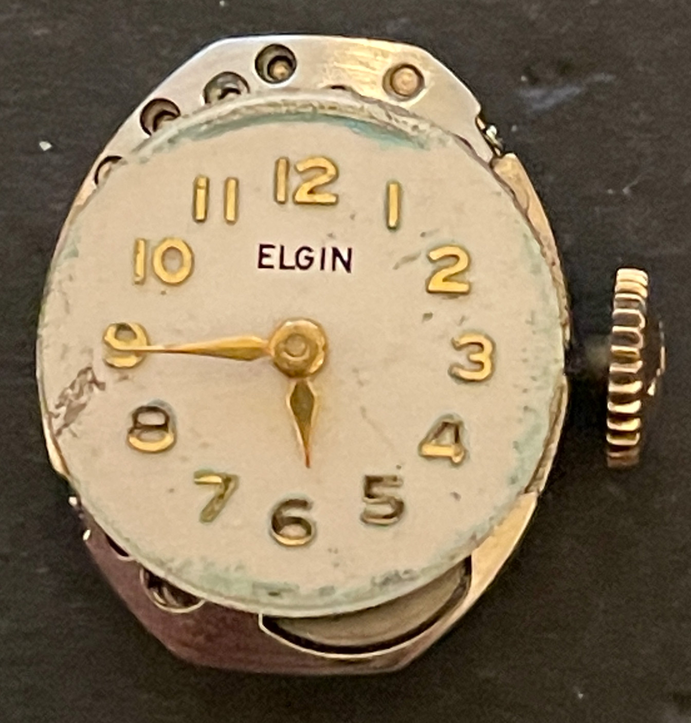 Vintage Elgin Cal 902 Ladies Watch Movement Running Ticks 17j USA