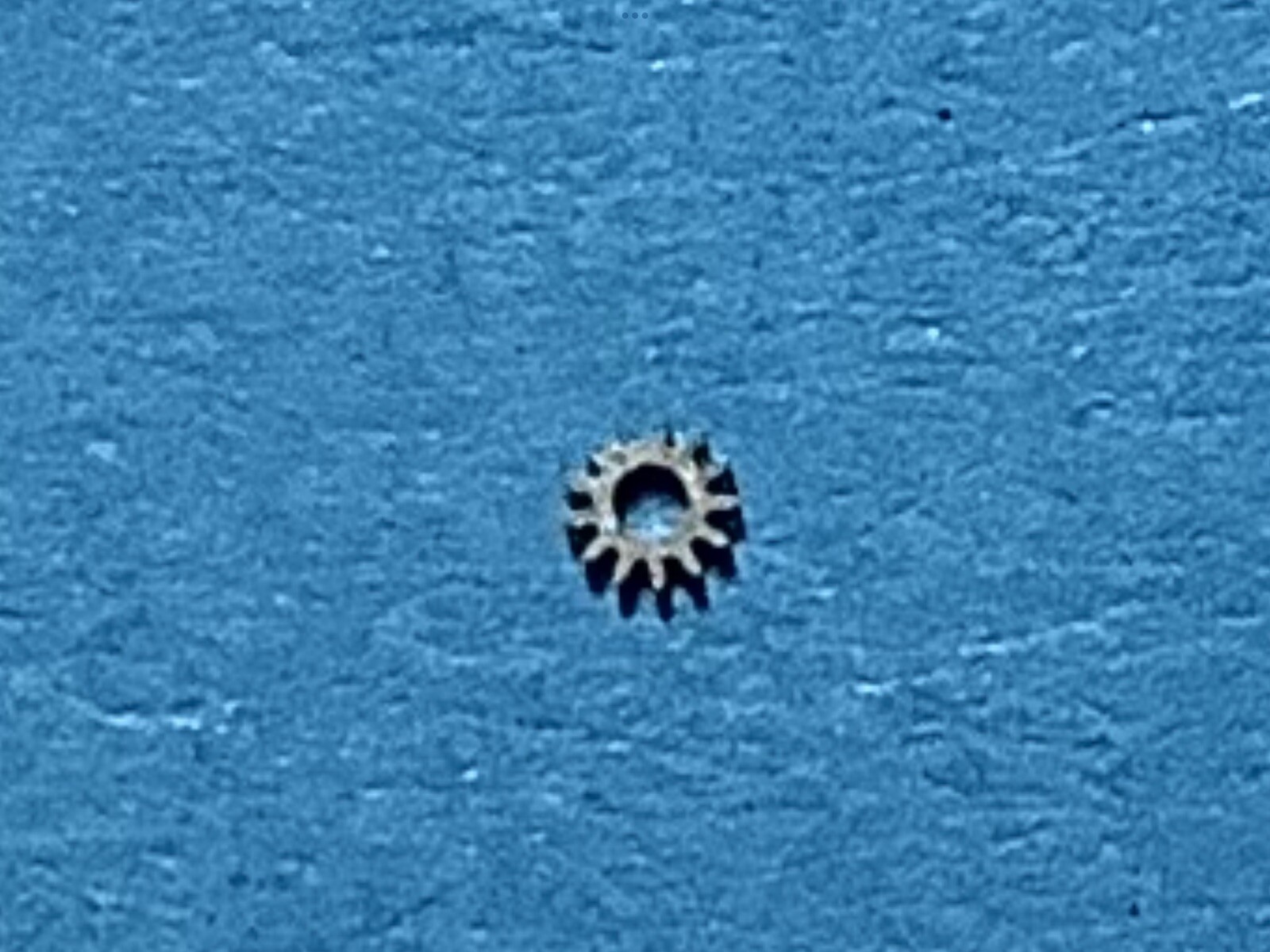 CHAIKA 1600/1601. SETTING WHEEL