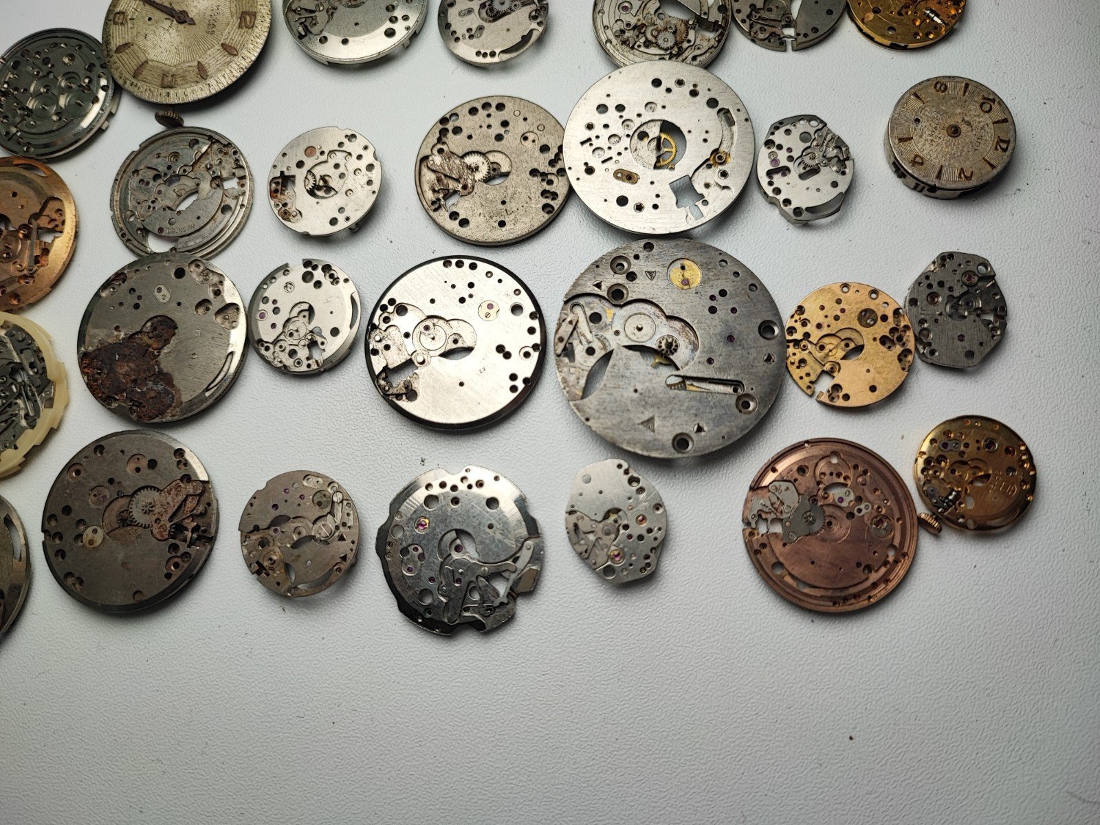 mix Watch Main Plate platinum lot as fhf fe eb harley brac fef eta bfg ut others