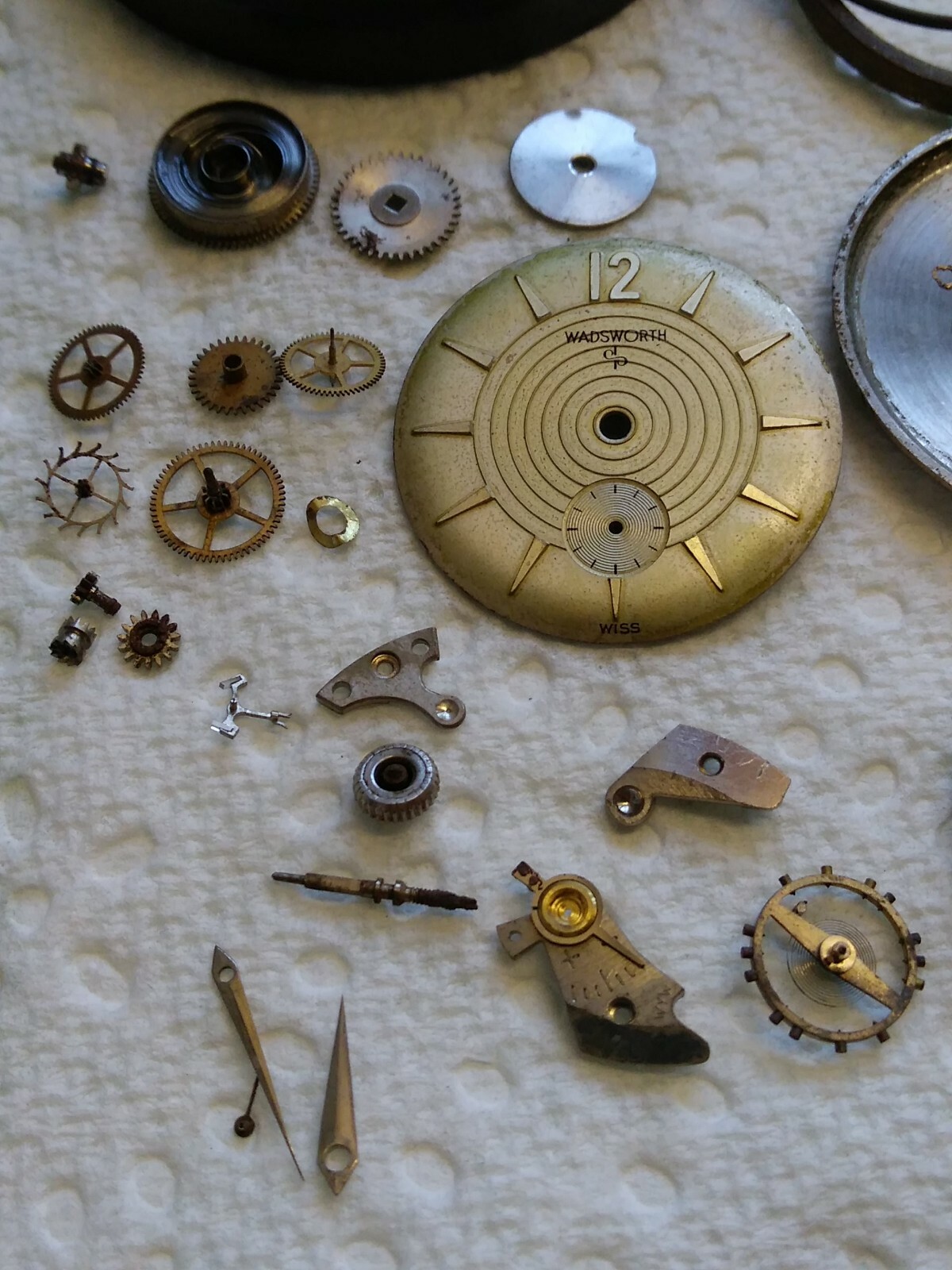 AS 1124 D Disassembled Wadsworth Movement, Dial, Hands, Holder, Case back Repair