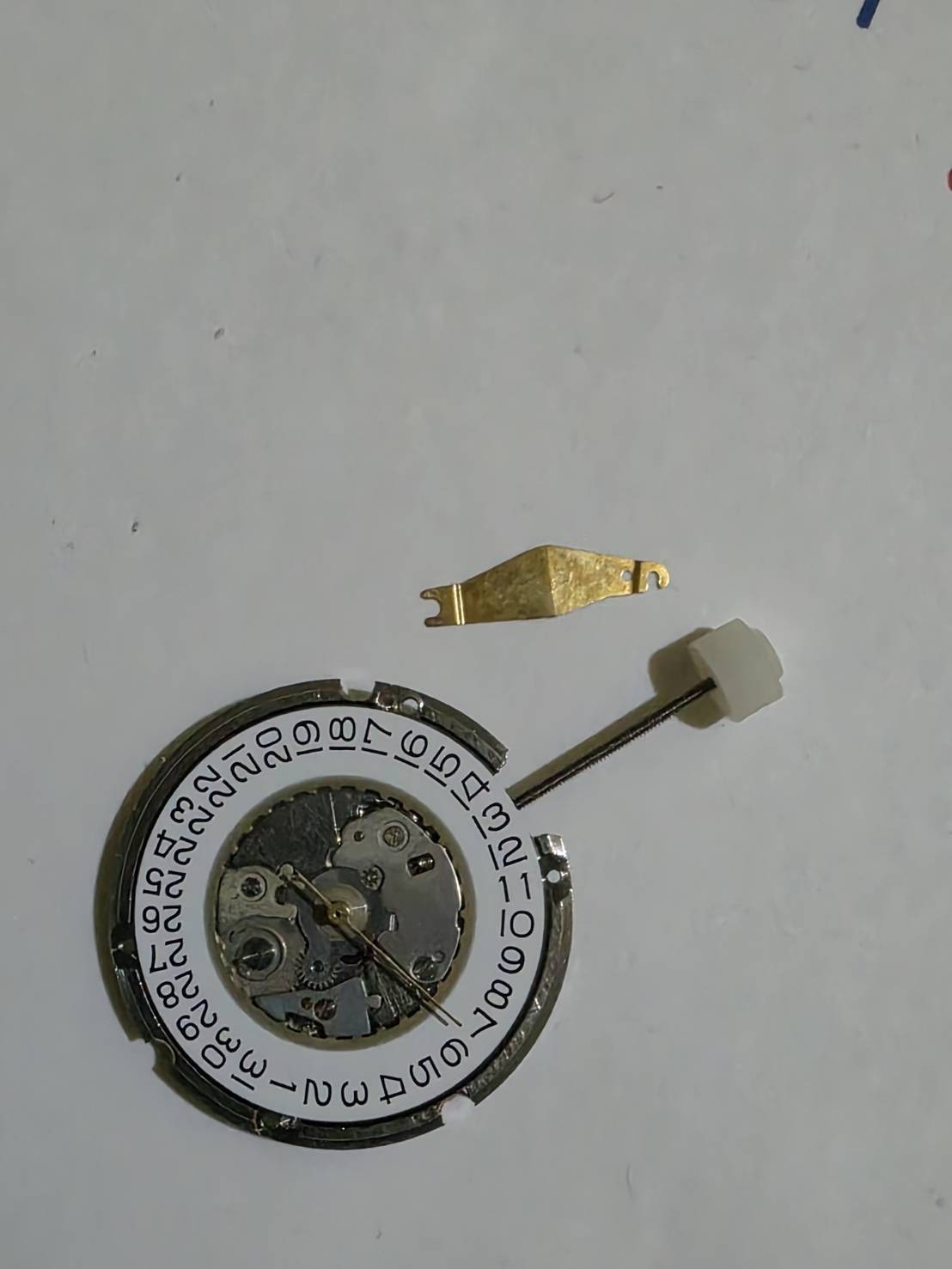 Ebosa BLUEBIRD Cal.701.211 swiss movement