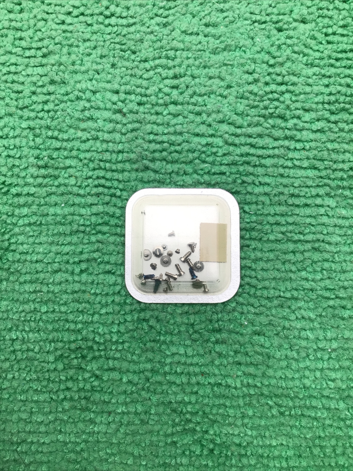 Genuine Rolex 1560 7991 Set Of Screws. Sealed NOS