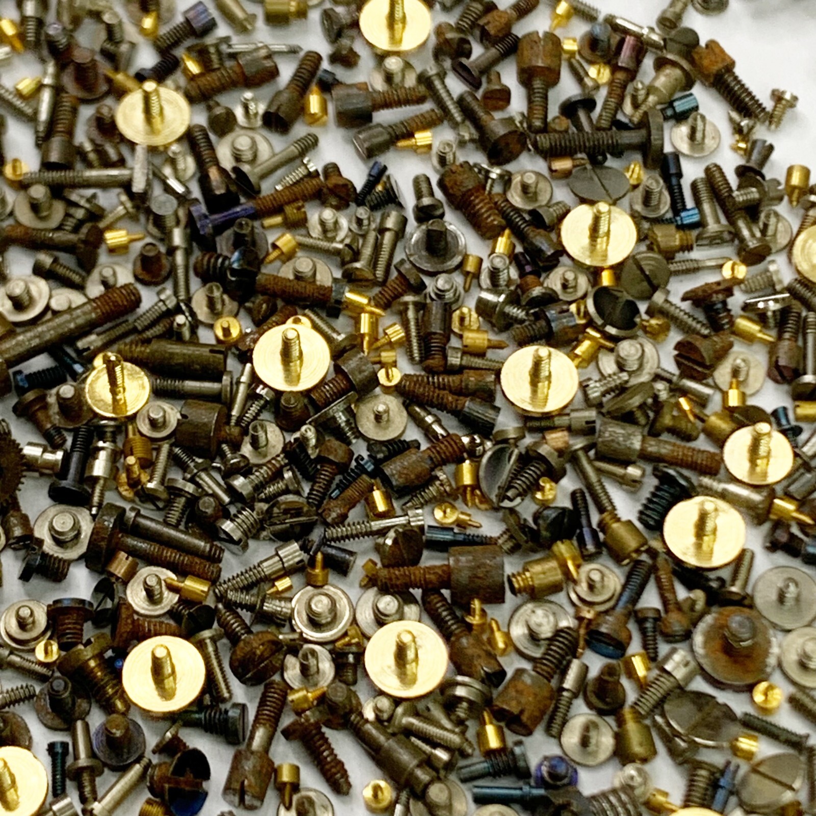 100 Watch Screws Pocket Wrist Silver Blue Gold Parts Watchmaker Repair Job Lot