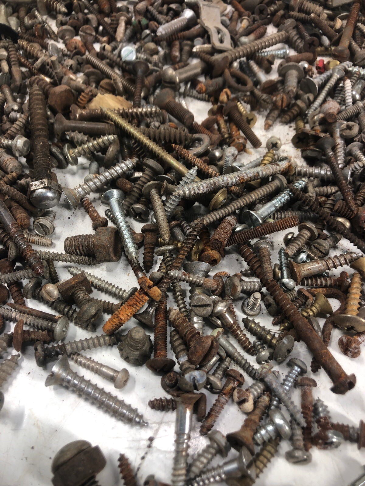5+ Lbs ANTIQUE AND VINTAGE SCREWS, Fasteners Philips Flat Blade Rustic