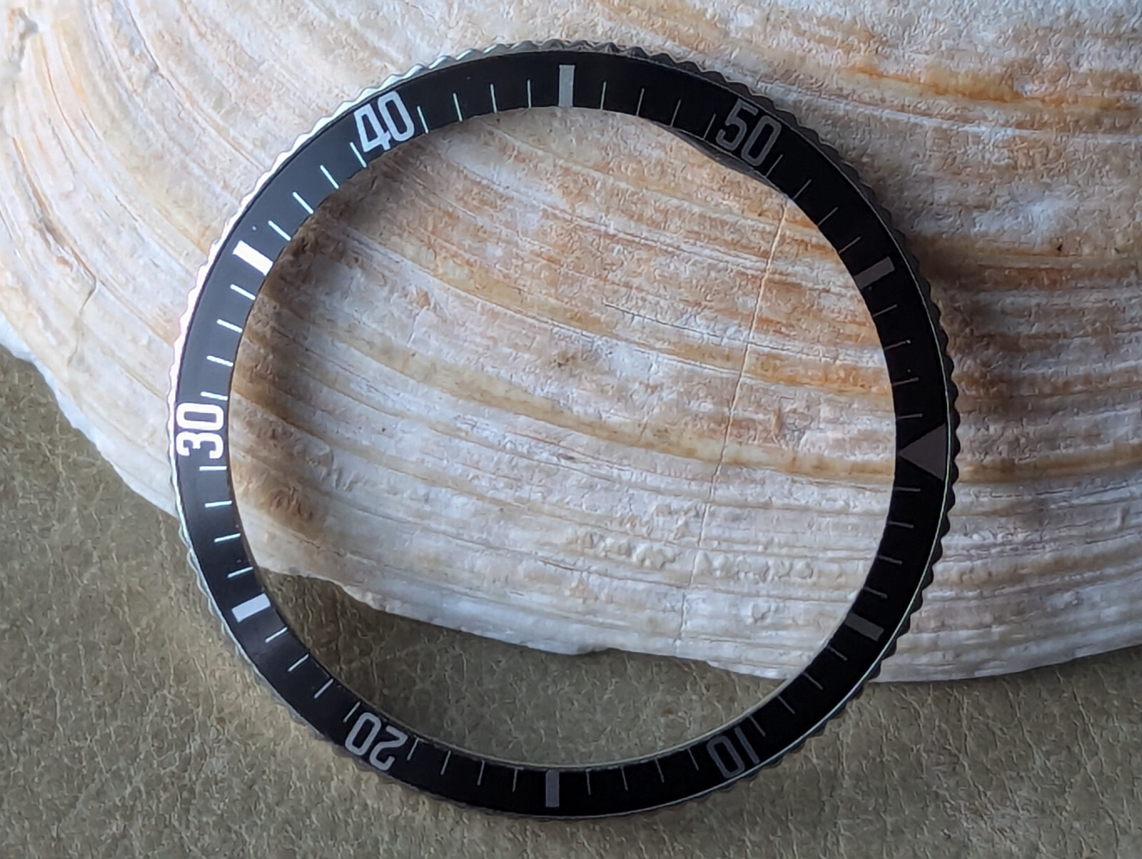 Vintage 1960’s Caravelle Sea Hunter Diver SS Bezel/Black Insert/Tension Spring