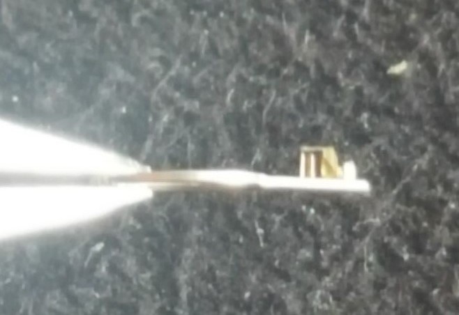 Omega Caliber 700 (Piguet 99) Part Number 1334 (Regulator)