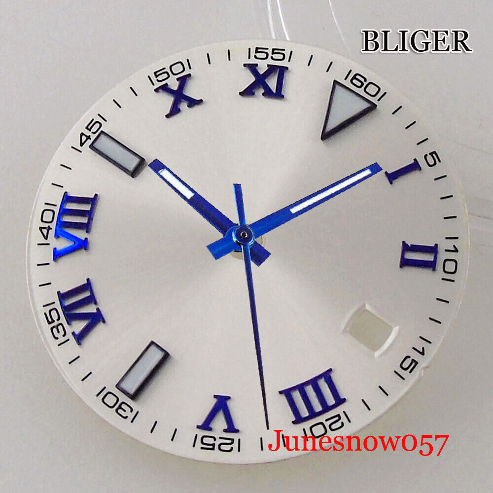 Silver Watch Dial Roman Numbers Lume 29MM Fit NH35 MIYOTA ETA2824 Movement Men’s