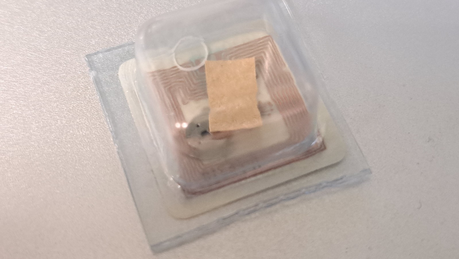 Genuine Rolex 4030 211 Crown Wheel SEALED/NEW for watch repair